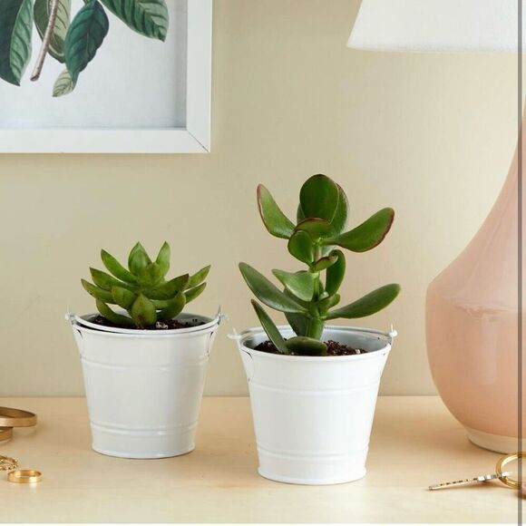 New 6 White Metal Tins Little 2.25”H Buckets w/ Handle Party / Wedding Favor Kit - Picture 4 of 16